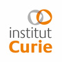 Logo Institut Curie 
