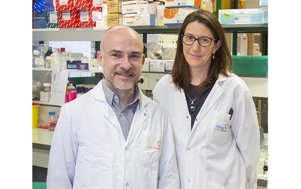 IMPACT : l’équipe de recherche qui relie pathologie, modèles précliniques et imagerie Institut Curie