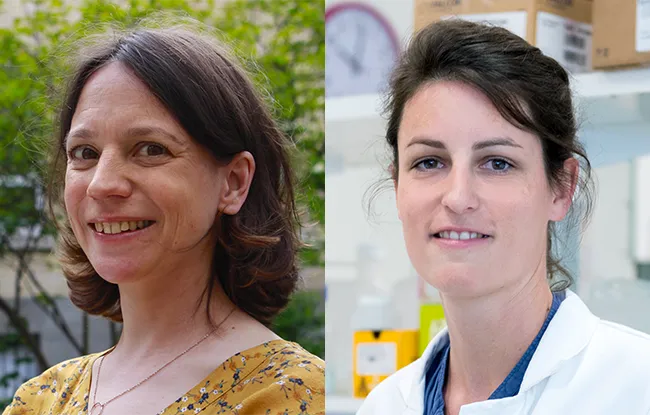 Dr. Ines Drinnenberg and Dr. Céline Vallot, winners of an ERC Consolidator Grant
