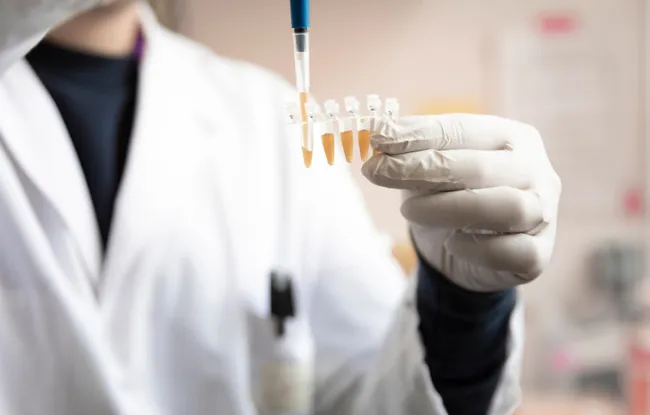 Une enzyme clé pour vaincre les cancers féminins résistants : le projet du Dr Raphaël Ceccaldi récompensé