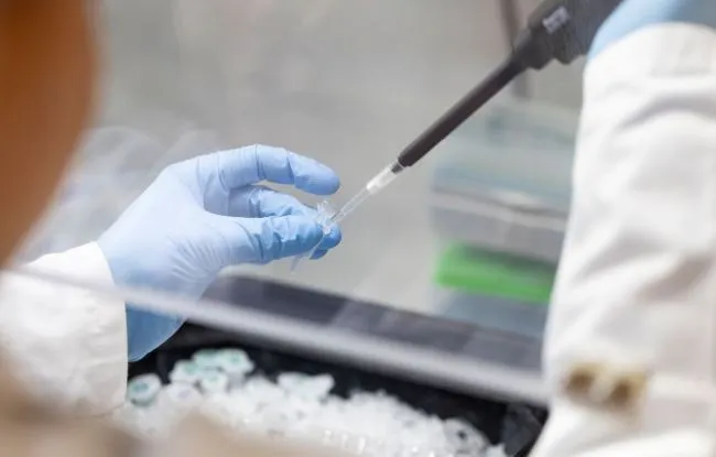 Inactivation du chromosome X