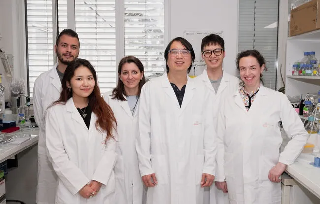 Research teams